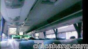 Homemade Public Bus Porn - Homemade Blowjob by Latina Exhibitionist on Bus from Puebla to Mexico City  | AREA51.PORN