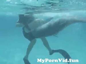 Fucking Dolphin Porn - Dolphin gets amorous from dolphin fuck girl videos d Watch Video -  MyPornVid.fun
