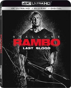 Drugged Aunt Porn - Amazon.com: Rambo: Last Blood [4K UHD] : Sylvester Stallone, Paz Vega,  Adrian Grunberg: Movies & TV