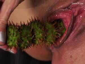 Cactus Insertion Porn - Insane fetish movie features an insane amateur screwing herself with a  cactus plant and enjoying it - LuxureTV