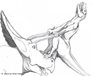 Female Raptor Dinosaur Porn - Statistics