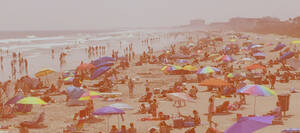 blowjob topless beach - Cocoa Beach Is Trashy â€“ David Morgan