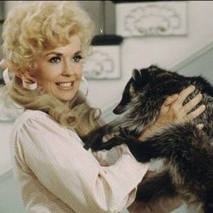 Donna Douglas Porn Captions - September 1932 - January 2015 â€“ Donna Douglas of the Beverly Hillbillies.  Douglas died at Baton Rouge General Hospital at the age of on January as a  result ...