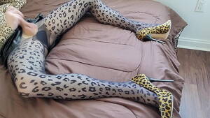 leopard print tranny masturbating - Crossdresser jerking off in leopard print pantyhose and heels - XVIDEOS.COM