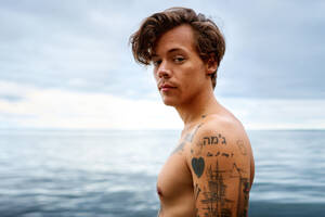 beautiful nude beach tumblr - Harry Styles romantic couple in gay movie has already been chosen