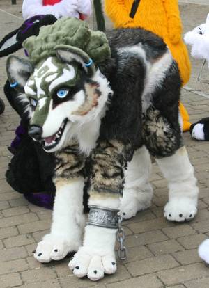 Furry Suit Porn - Wolf link quad. Wait is this an actual cosplay?!?! TELL ME Â· Furry SuitWolf  ...
