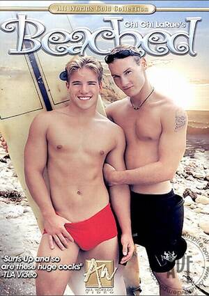 Jake Cannon Gay Porn - Beached | Channel 1 Releasing Gay Porn Movies @ Gay DVD Empire