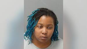 missouri stolen homemade porn - Missouri woman tracks down, kills alleged carjackers at gas station | Fox  News