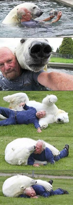 I Mean Actual Bears Bear Porn - Funny pictures about Polar Bear and trainer. Oh, and cool pics about Polar  Bear and trainer. Also, Polar Bear and trainer.