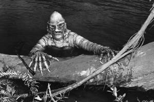 Classic Movie Monster Porn - The Creature from the Black Lagoon (1954)