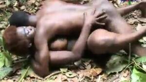 African Jungle Porn - Africans make out in the jungle - Porn300.com