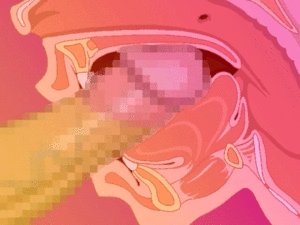 hentai cross section cumshots - X Ray Cross Section Gif