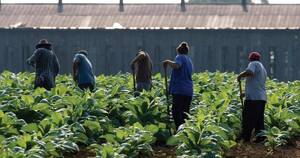 latina abuse anal xxx - Cultivating Fear: The Vulnerability of Immigrant Farmworkers in the US to  Sexual Violence and Sexual Harassment | HRW