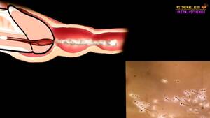 anatomy shemale porn - Russian Sissy Hypno Trainer - New Shemale Anatomy (NSTSHEMALE) - EPORNER