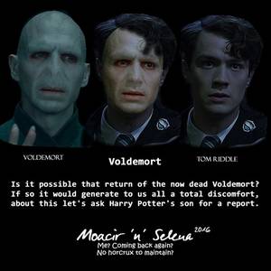 Harry Potter Voldemort Porn - Harry Potter wallpaper entitled Voldemort