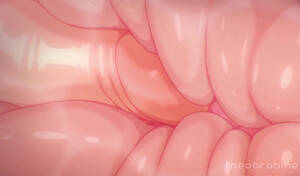 anal internal hentai - Your chance to get X-ray eyes - a different perspective on anal