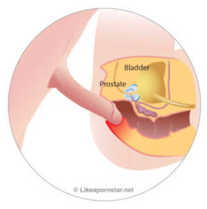 Anal Sex Diagram - Bottoming - Like A Pornstar