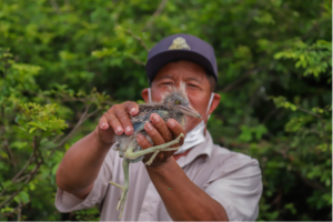 Bird Watching Porn - Toul Poan Taley Boeung Sne: A Harmonious Bird Sanctuary and Bird watching  destination Near Phnom Penh | Cambodianess