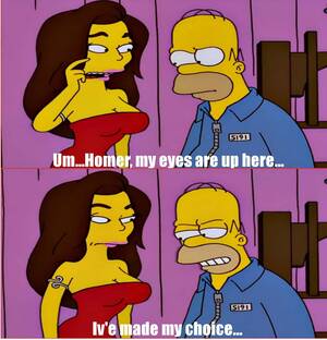 Carmen Electra Porn Cartoon - Homer is a man among men. : r/funny