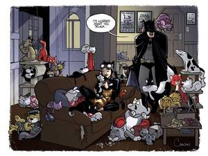 Dc Cerci Porn Comic - Catwoman the cat lady by caanantheartboy on deviantART -- I see so many  cartoon cats I recognize; from Garfield to Hello Kitty, Cheshire Cat to  Sylvester.