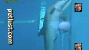 dolphin vagina cam - Underwater zoophilia fetish with diver filming the dolphin vagina