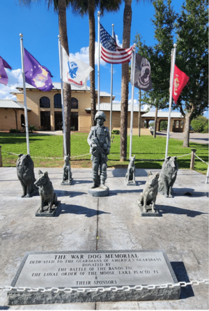 k9 porn 40s - long Dog porn videos page 40 at z00y.com