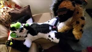 Furry Porn Cosplay Couples - Fetish amateur couple in fursuit costumes tease each other before fucking  passionately. New HD porn on faponhd