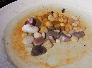 Bird Bath Porn - The water in the bird bath starts to turn red, obviously contaminated by  some microorganism carried in by the birds.