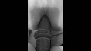 Black And White Hd Anal - Black And White Anal Videos Porno | Pornhub.com