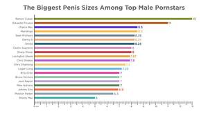 Male Porn Star Penis Length - Comparing The Average Penis Size And Pornstar Penis Size [2024]
