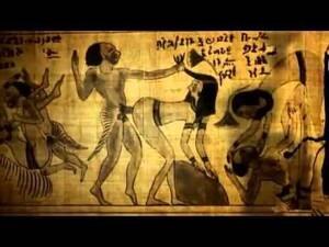 Anthropology Porn - Entry #61 by ahmedamir088 for Egyptian tarot PORN ad | Freelancer