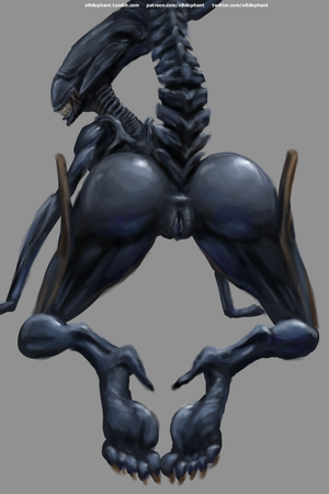 Female Xenomorph Pussy - Rule 34 - 1girls 2017 alien alien (franchise) alien girl alien humanoid all  fours anus ass big ass big butt black skin bubble ass bubble butt butt  completely nude dat ass feet