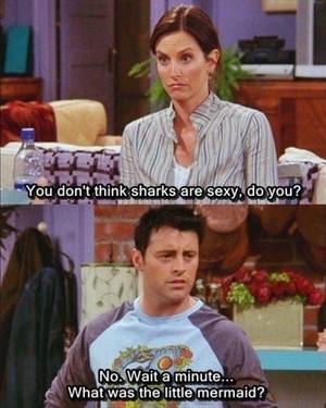 Friends Tv Show Monica Porn - When Monica thought Chandler liked shark porn. | Friend jokes and Friends tv