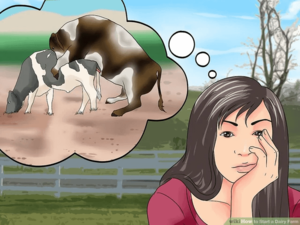 Cow Porn - How to get over your obsession with cow porn : r/disneyvacation