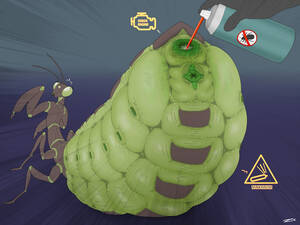 Insect Porn Anthropology - Rule 34 - 1girls ambiguous gender antennae (anatomy) anus arthropod  arthropod abdomen arthropod abdomen anus arthropod abdomen genitalia  arthropod abdomen pussy bug spray butt compound eyes disembodied hand enema  eye spots female