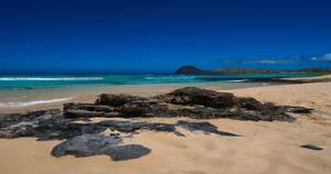 girls spy cam nude beach viedo - 6 Best Nude Beaches on Oahu - ThrillingSpots.com