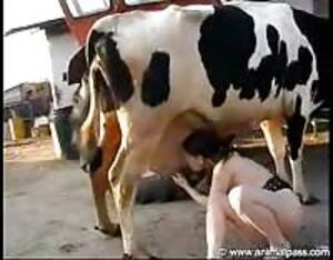 Girl And Cow Porn - Cow fucks woman - Extreme Porn Video - LuxureTV