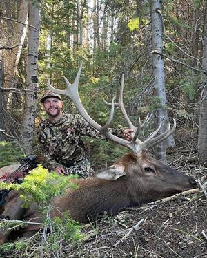 Elk Hunting Porn - First ever Elk - Wyo public lands : r/Hunting