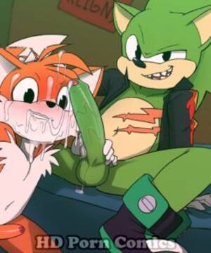 Gay Furry Sonic Porn - Sonic-Tails Cuckolding gay furry comic - Gay Furry Comics