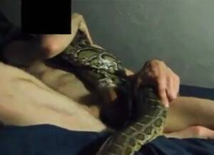 Man Fucks Snake Porn - Man Fucks Snake Porn | Sex Pictures Pass