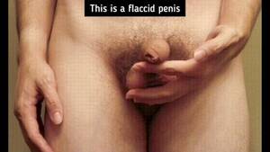 Dick Nude Sex - Sex Education Intro: The Flaccid Penis Gay Porn Gif | Pornhub.com