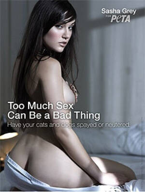 bad nudist - Porn star poses nude for Peta ad | Stuff.co.nz