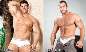 Gay Bodybuilder Porn Stars - H.R. Buffnstuff: Gay Porn's Muscle Men - Fleshbot