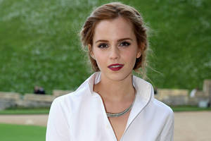 Goth Porn Emma Watson - FETISH: Cops unearthed a shrine of photos of Emma Watson after digging up  child porn on his computer [GETTY]