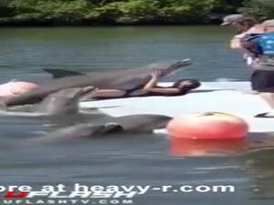dolphin vagina cam - Dolphin Videos - Free Porn Videos