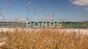 brazil beach voyeur video - Voyeur Point of View of a Beach | Stock Video | Pond5