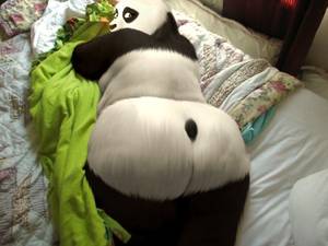 Chubby Female Furries Ass - e621 anthro bear bent_over big_butt breasts butt crossgender dreamworks  edit female kung_fu_panda love_handles mammal obese overweight