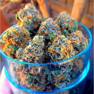 high on weed - Looks like good medical marijuna!