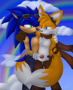 Gay Furry Sonic Porn - Gay Furry Sonic Porn | Sex Pictures Pass
