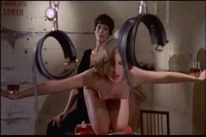 C.j. Laing Porn - CJ Laing Nuts Pounding - ZB Porn